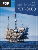 petroleo.pdf