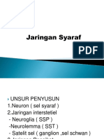 Jaringan Syaraf