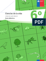 guia6basicocienciasdelavidacnaturales.pdf