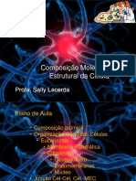 Organização Molecular e Estrutural da Célula