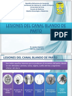 Lesionesdelcanaldeparto