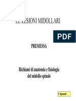 Le Lesioni Midollari