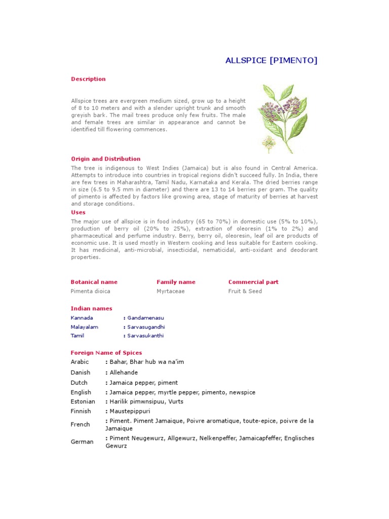 Allspice (Pimento) Description PDF Dill Cumin