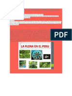 Flora y Fauna de Nuestra Sierra Peruana