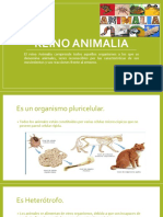 Reino Animalia