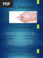 El Embarazo