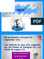 Agua quintos.pptx