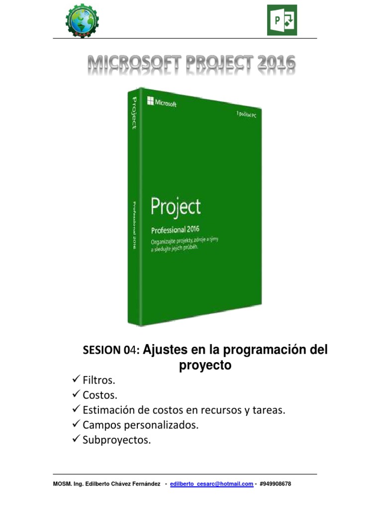 Ajustes de Filtros y Costos en MS Project | PDF | Point and Click ...