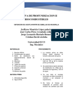 Electiva de Profundizacion II