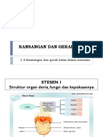 1.2 Rangsangan Dan Gerak Balas Dalam Manusia