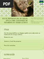 Uso de Propentofilina Em Sapajus Apella Como Coadjuvante