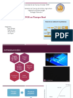 RT-PCR-expo