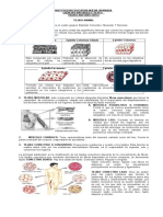 3. GUIA TEJIDO ANIMAL.doc