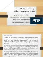 conf_paulo_acero.pdf