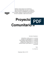 Proyecto Comunitario II