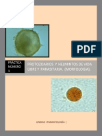 MGII_Practica_1_Protozoarios-y-helmintos-1.pdf