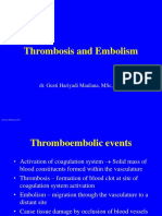 Thrombosis and Embolism: Dr. Gusti Hariyadi Maulana, MSC, SPPD