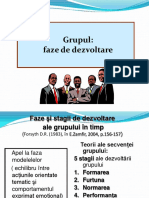Grupul - Faze PDF
