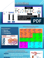 LAS-PROTEÍNAS (2).pptx