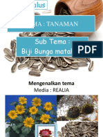 Contoh Kegiatan Untuk Motorik Halus