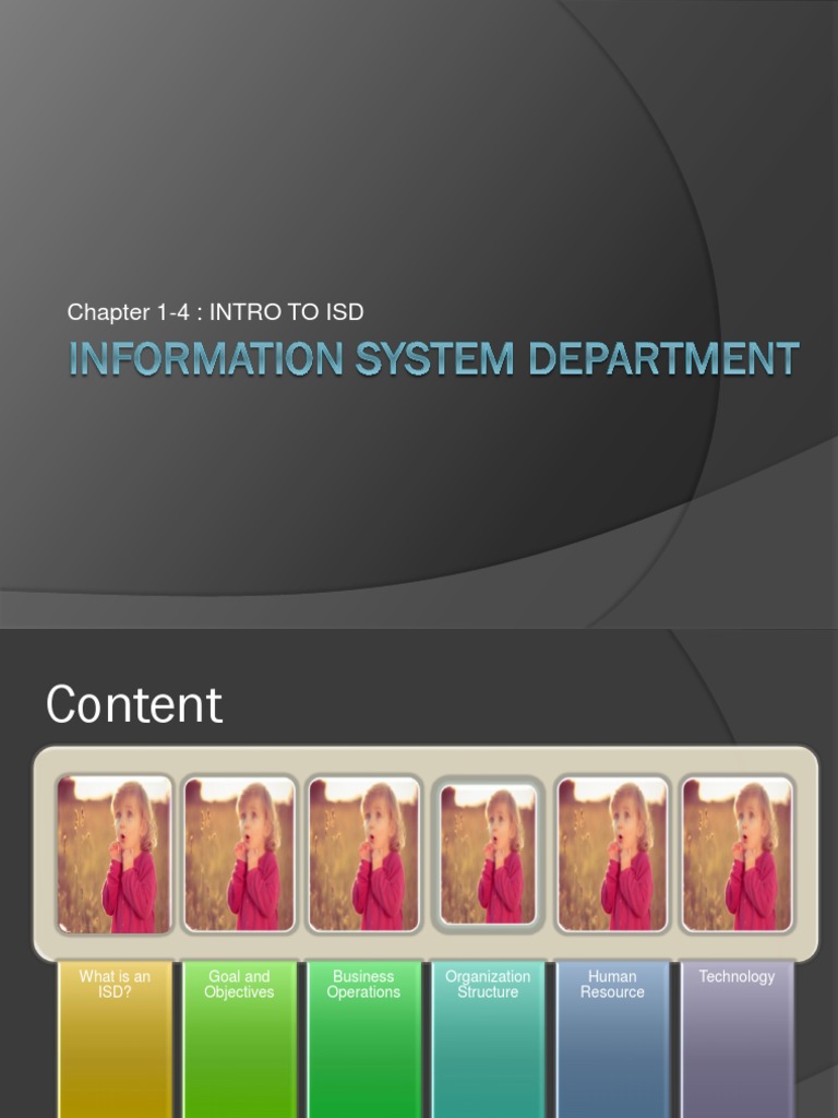 Intro to Information Systems Dept | PDF | Information System | Computer ...