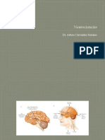 Neurociencias - Sistema nervioso autónomo y regulación visceral