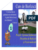 cursbf1rom.pdf