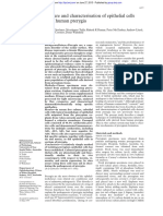 Culture and Characterisation of Epithelial Cells From Human Pterygium