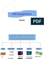 Mikroorganisma Jenis dan Contoh