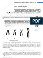 Texto Complementar Cromossomos Com Estudo Dirigido - 8º Ano CAJE