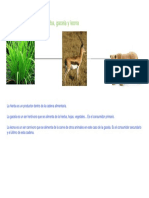 Horizontal en Blanco PDF