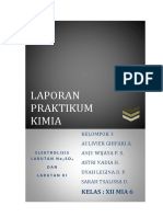 KIMIA - LAPORAN PRAKTIKUM Elektrolisis