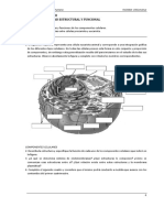Guía de Ejercicios: Estructura y Función Celular.
