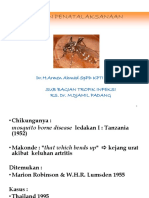 KP 3.5.2.4 - Diagnosis Dan Penatalaksanaan Chikungunya