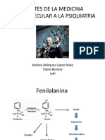 Tratamiento Ortomolecular y FM y Psiquiatria