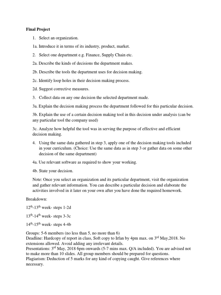 Decision-Making Analysis Project Guide | PDF