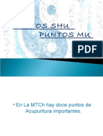 acupunturaipuntosshuymu-.pdf