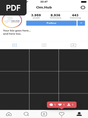 Instagram Profile 2017