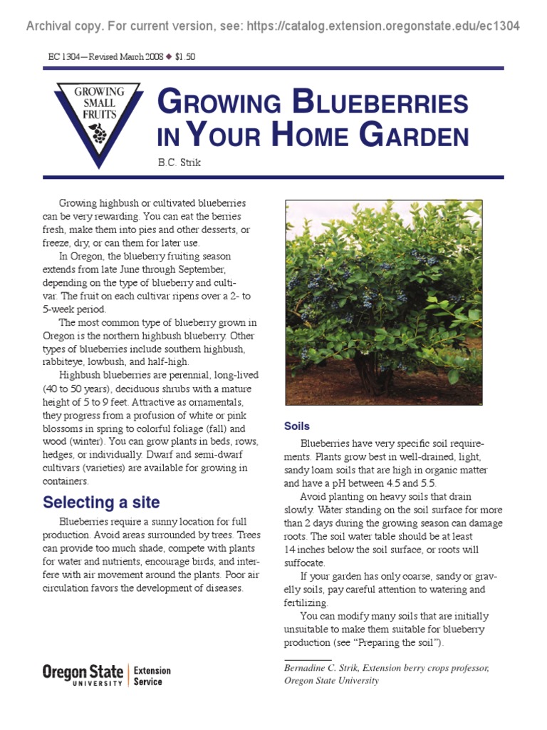 Growing Blueberries PDF | PDF | Mulch | Blueberry