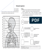 0 Sistemul Respirator PDF