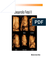 Desarrollo fetalUDP2