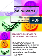 Medidas Cautelares - PPSX