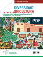 ibd-2008-booklet-es.pdf