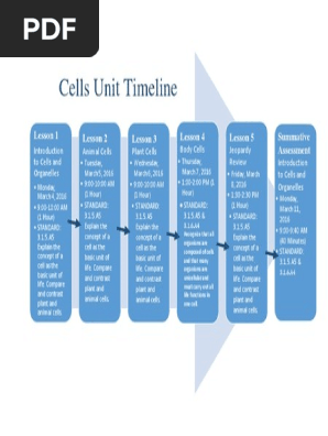 timeline