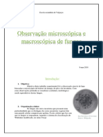 Observação microscópica e macroscópica de fungos.docx