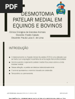 Desmotomia Patelar Medial Em Equinos e Bovinos