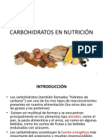 3. Carbohidratos en Nutrici n
