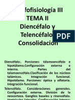 Diencéfalo y Telencéfalo