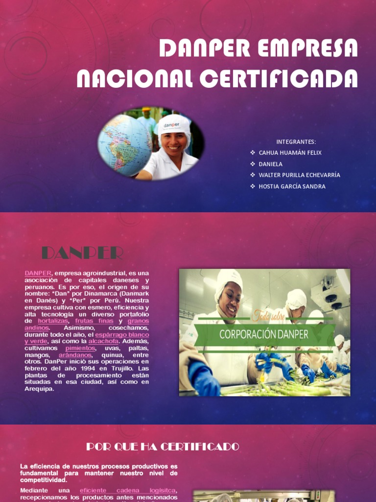 DANPER | PDF | Calidad (comercial) | Business