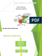 Sistemaendocrino1